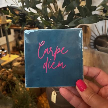 Tegeltje Carpe Diem