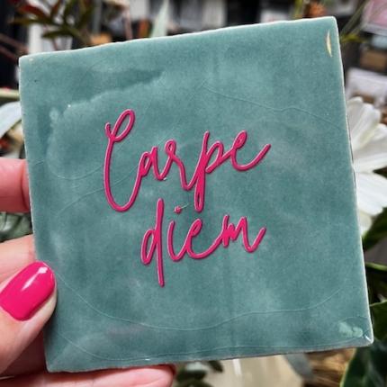 Tegeltje Carpe Diem