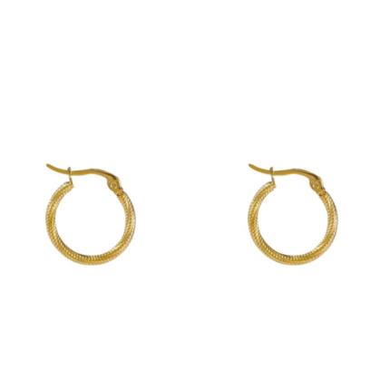 OorbellenFine Twist Hoop E4290 20mm goud
