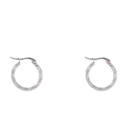 Oorbellen Fine Twist Hoop E4290 30mm zilver