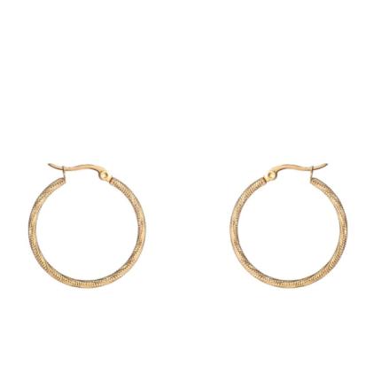 Oorbellen Fine Twist Hoop 30 mm goud E4290-3-2