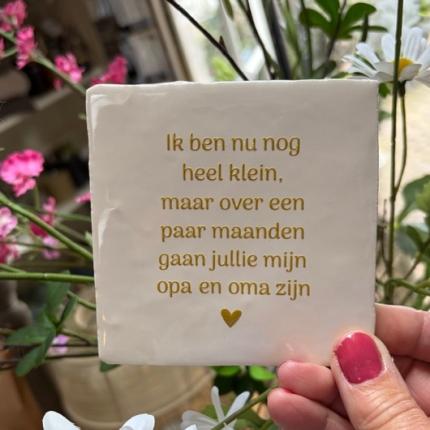 Tegeltje Ik ben nu nog heel klein